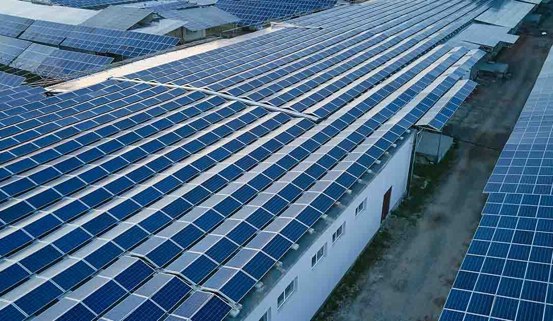 Maximising Sustainability and Savings: A Strategic Guide to Commercial Solar Services